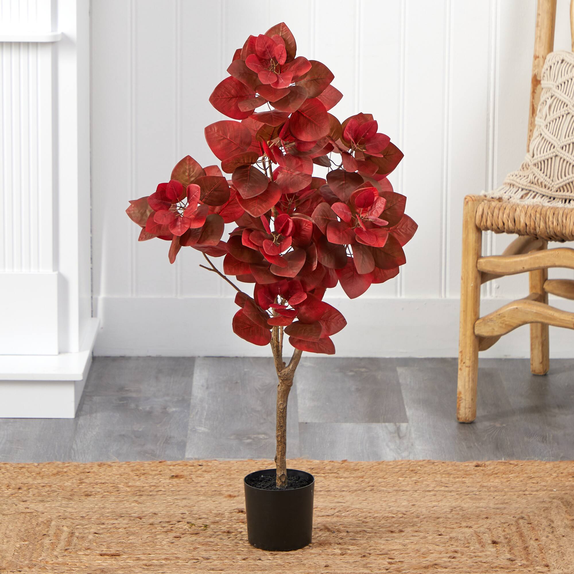 3ft. Potted Autumn Pomegranate Tree